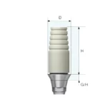 UCLA Abutment (Titanium) - Dental System Avita3